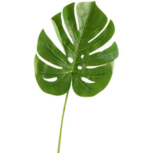 Load image into Gallery viewer, Leaf Monstera 42&quot;
