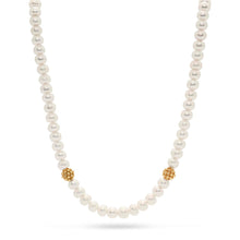 Load image into Gallery viewer, Berry Single Strand Necklace - Pearl
