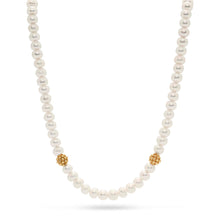 Load image into Gallery viewer, Berry Single Strand Necklace - Pearl