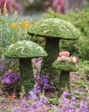 Load image into Gallery viewer, Deco Moss Mushroom Planters - 3 sizes available