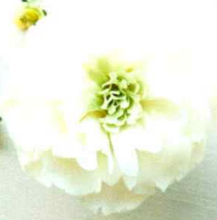 Load image into Gallery viewer, Petal Soap Flowers
