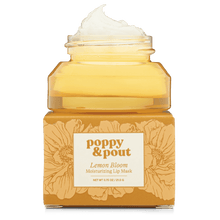 Load image into Gallery viewer, Lip Mask