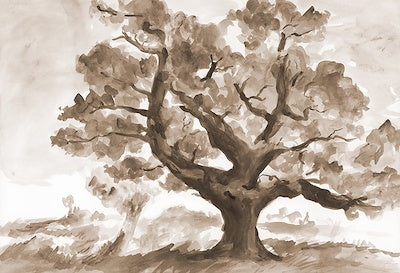 Contemplative Oaks III