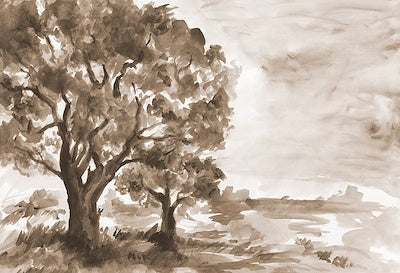 Contemplative Oaks IV