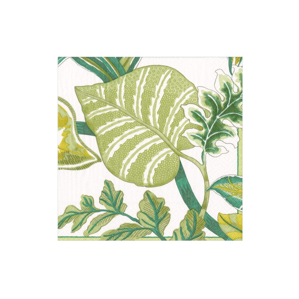 Florida Paper Cocktail Napkins in Ivory