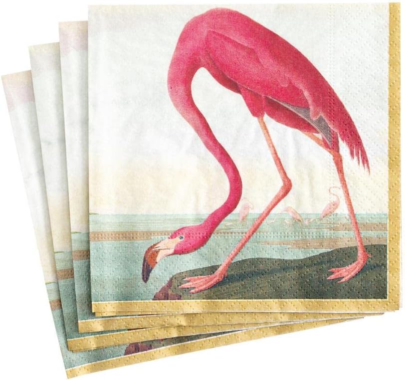 Audubon Birds Paper Cocktail Napkins