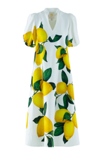 Load image into Gallery viewer, Hampton Dress in Limone
