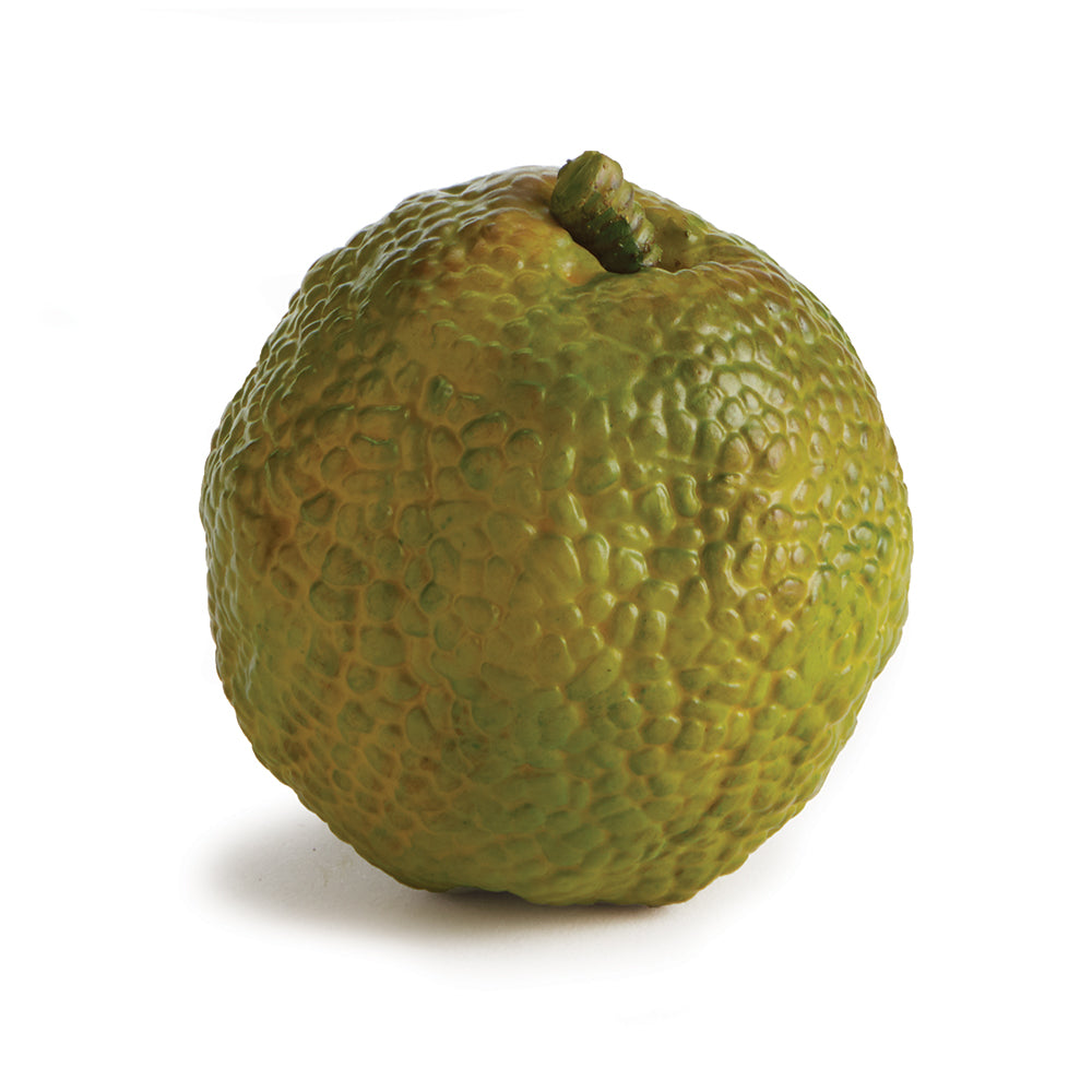 Hedge Apple
