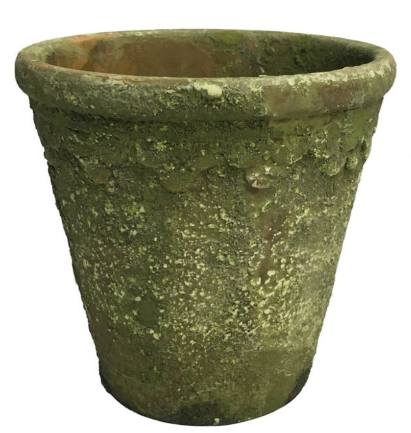 Aged Garden Pot #6