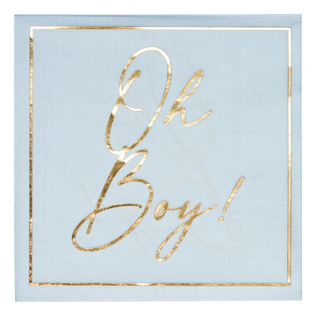 Lunch Napkin Hey Baby Blue