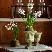 Load image into Gallery viewer, Age Garden Urns Large
