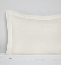 Load image into Gallery viewer, Lecce Continental Sham- More Colors Available
