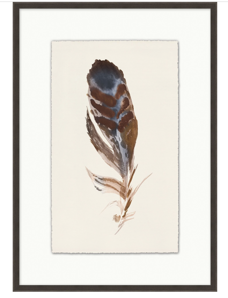 Watercolor Feather 1