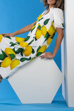 Load image into Gallery viewer, Hampton Dress in Limone
