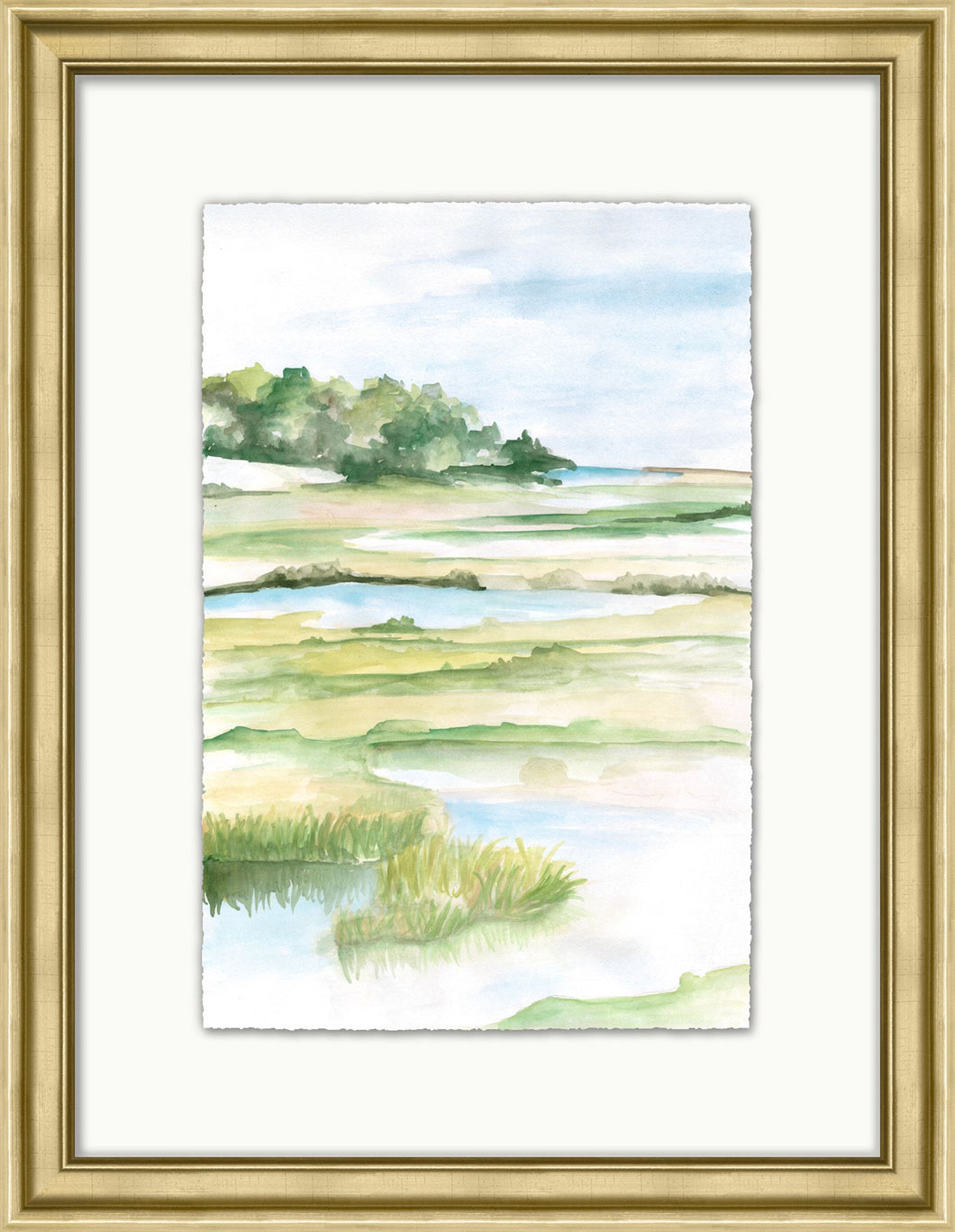 Marsh Study 1