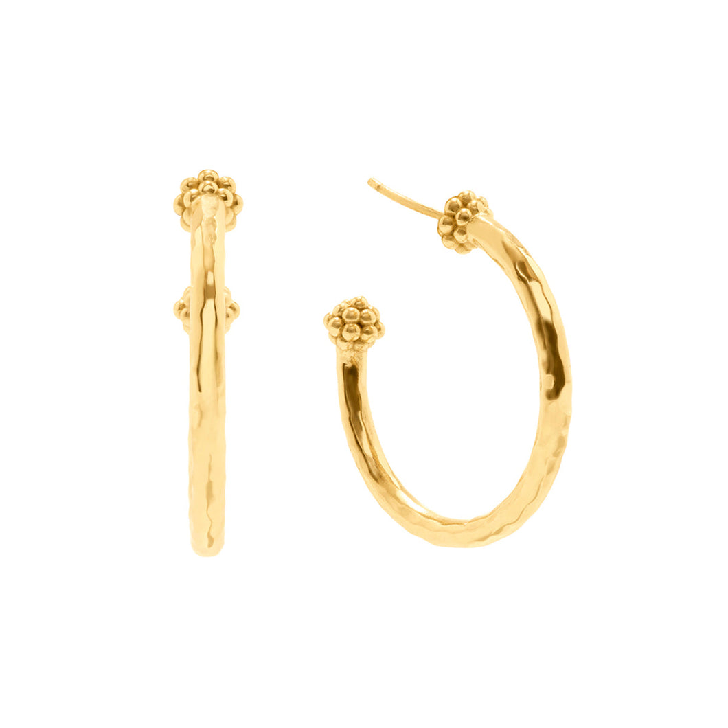 Berry Slice Medium Hoop Earrings - Gold