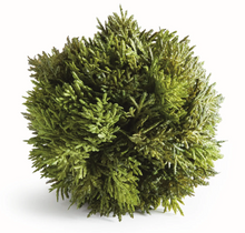 Load image into Gallery viewer, Cypress Orb 6.5&quot;
